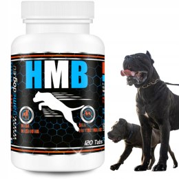 Game Dog HMB 120 tabs - rozbudowa mięśni, regeneracja, wyniki treningowe