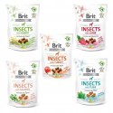 Brit Crunchy Insect Insekty MIX przysmak 5x 200g