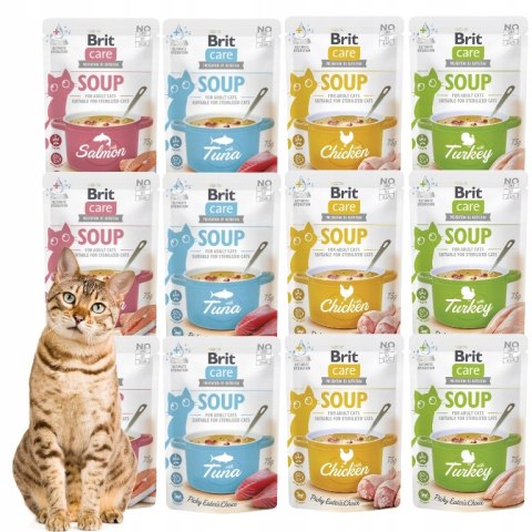 Zestaw Brit Care CAT SOUP 12X75 Saszetki dla kota chicken salmon tuna